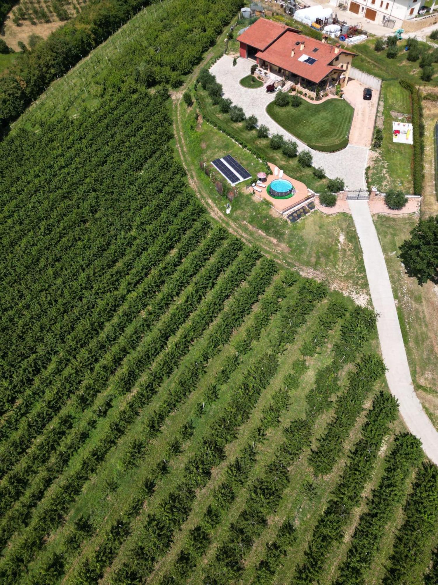 La Collina Dei Ciliegi Villa San Mauro di Saline Exterior photo